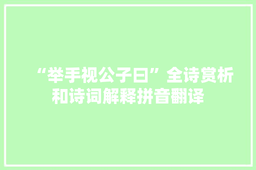 “举手视公子曰”全诗赏析和诗词解释拼音翻译