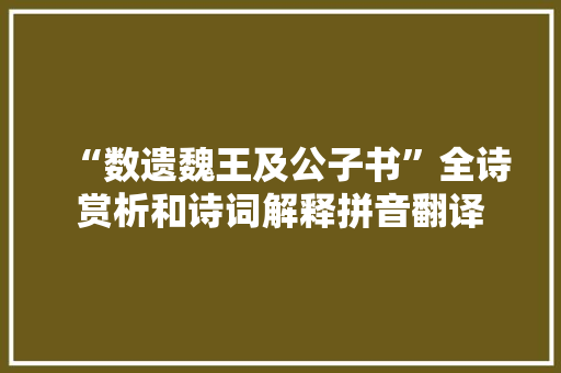 “数遗魏王及公子书”全诗赏析和诗词解释拼音翻译