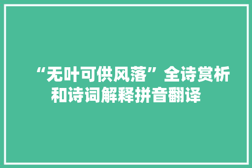 “无叶可供风落”全诗赏析和诗词解释拼音翻译