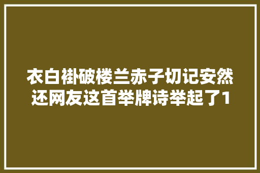 衣白褂破楼兰赤子切记安然还网友这首举牌诗举起了14亿人的心声