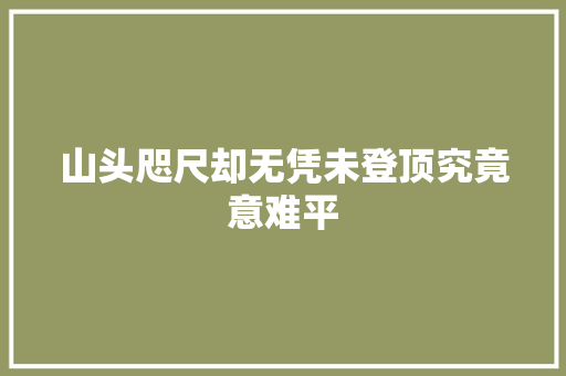山头咫尺却无凭未登顶究竟意难平