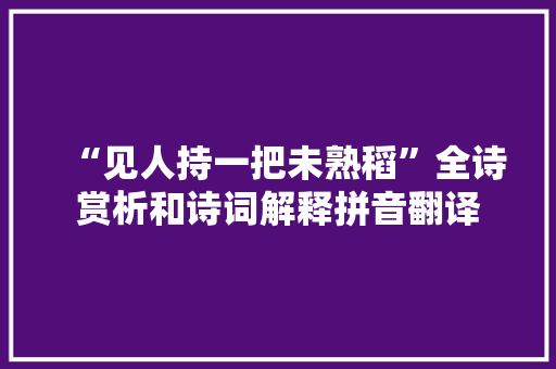 “见人持一把未熟稻”全诗赏析和诗词解释拼音翻译