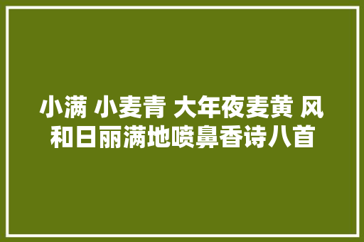 小满 小麦青 大年夜麦黄 风和日丽满地喷鼻香诗八首