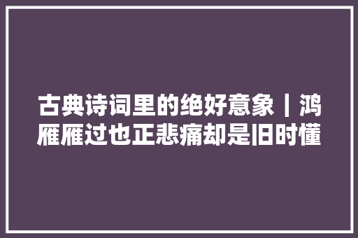 古典诗词里的绝好意象｜鸿雁雁过也正悲痛却是旧时懂得