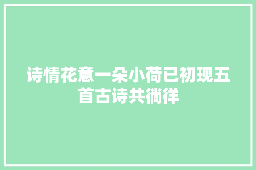 诗情花意一朵小荷已初现五首古诗共徜徉