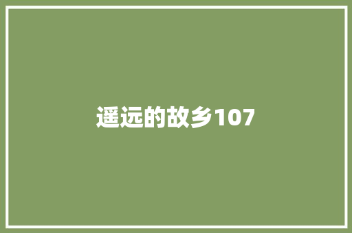 遥远的故乡107