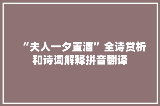 “夫人一夕置酒”全诗赏析和诗词解释拼音翻译