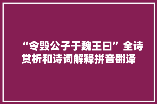 “令毁公子于魏王曰”全诗赏析和诗词解释拼音翻译
