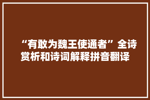 “有敢为魏王使通者”全诗赏析和诗词解释拼音翻译