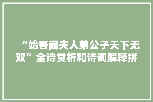 “始吾闻夫人弟公子天下无双”全诗赏析和诗词解释拼音翻译