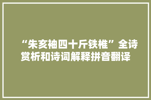 “朱亥袖四十斤铁椎”全诗赏析和诗词解释拼音翻译