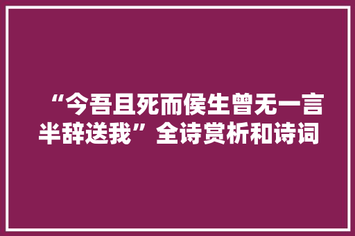 “今吾且死而侯生曾无一言半辞送我”全诗赏析和诗词解释拼音翻译