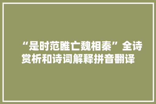 “是时范睢亡魏相秦”全诗赏析和诗词解释拼音翻译