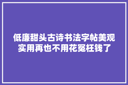 低廉甜头古诗书法字帖美观实用再也不用花冤枉钱了