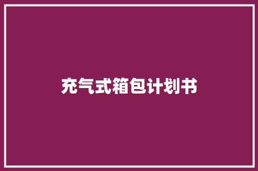 充气式箱包计划书