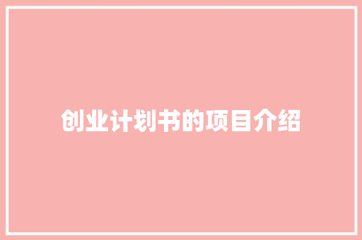 创业计划书的项目介绍