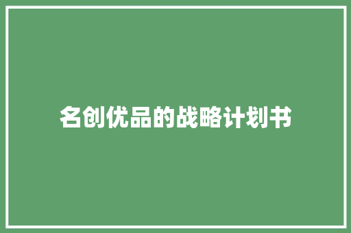 名创优品的战略计划书