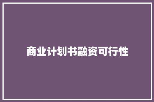 商业计划书融资可行性