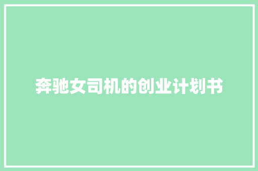 奔驰女司机的创业计划书