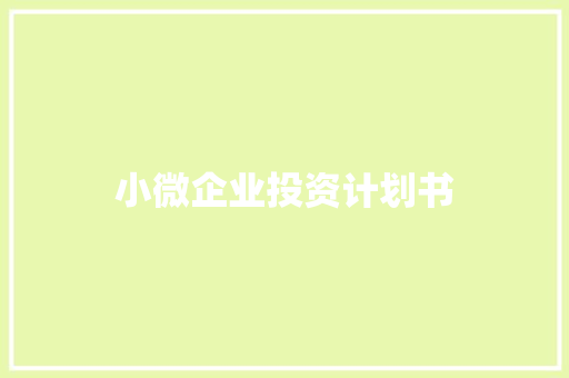 小微企业投资计划书