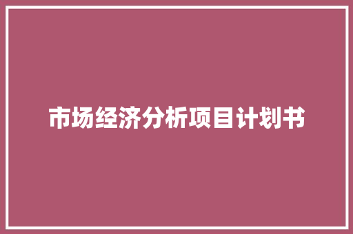 市场经济分析项目计划书