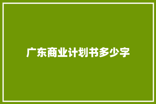 广东商业计划书多少字