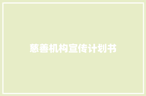 慈善机构宣传计划书