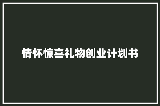 情怀惊喜礼物创业计划书