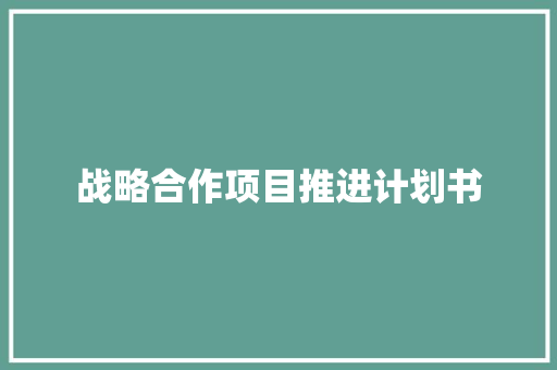 战略合作项目推进计划书