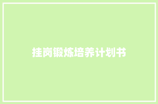 挂岗锻炼培养计划书