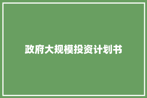 政府大规模投资计划书