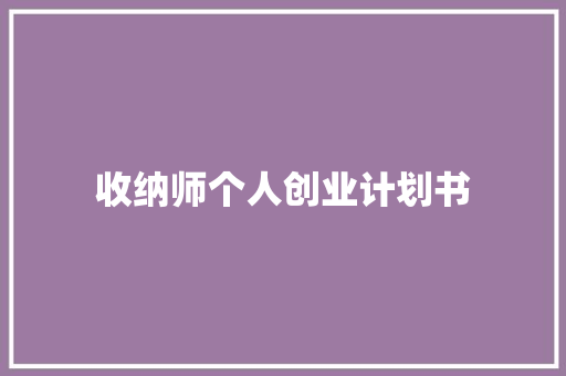 收纳师个人创业计划书