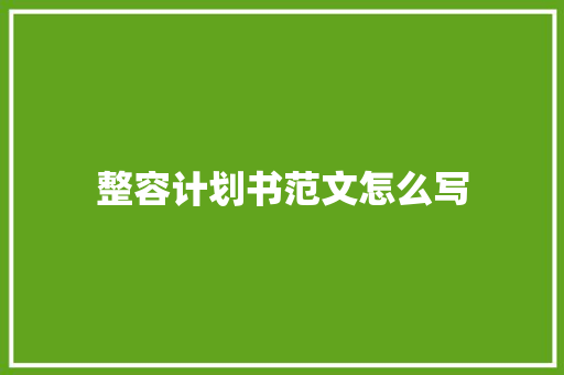 整容计划书范文怎么写