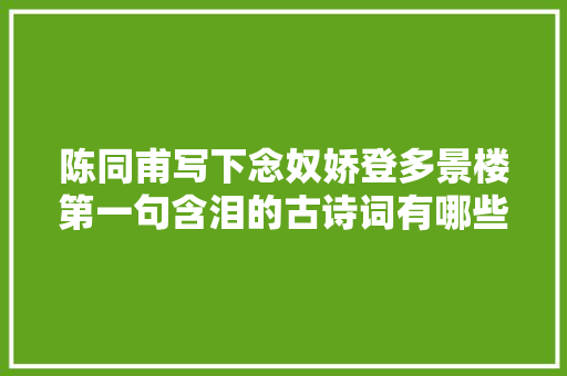 陈同甫写下念奴娇登多景楼第一句含泪的古诗词有哪些