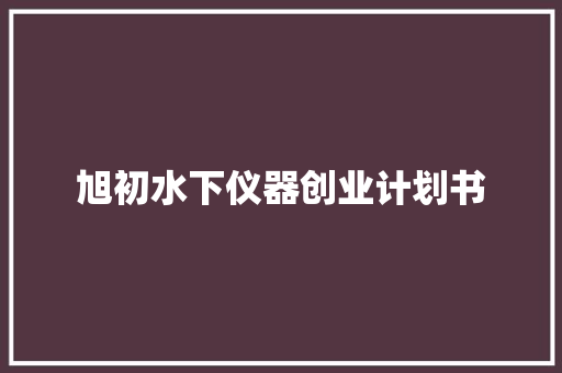 旭初水下仪器创业计划书