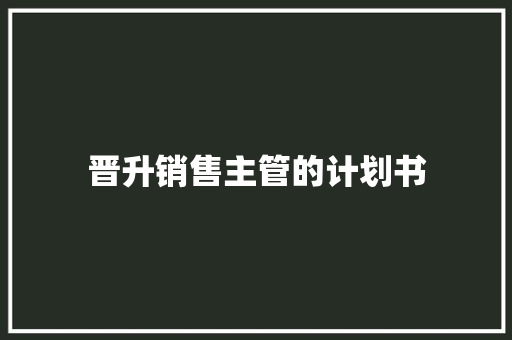 晋升销售主管的计划书