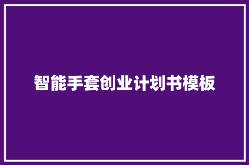 智能手套创业计划书模板