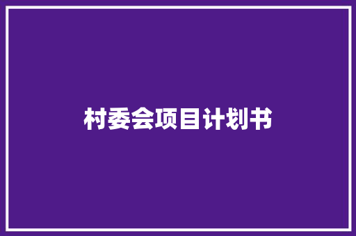 村委会项目计划书