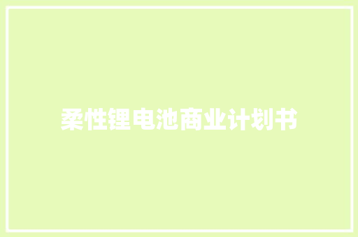 柔性锂电池商业计划书