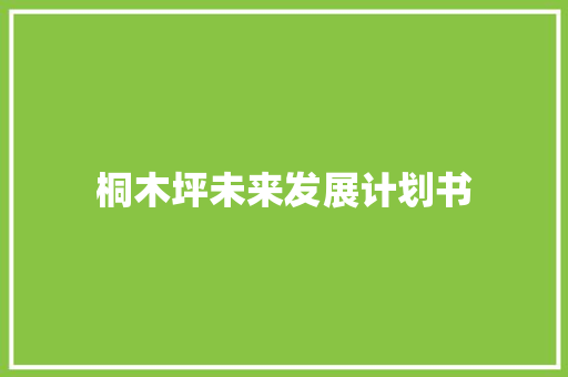 桐木坪未来发展计划书