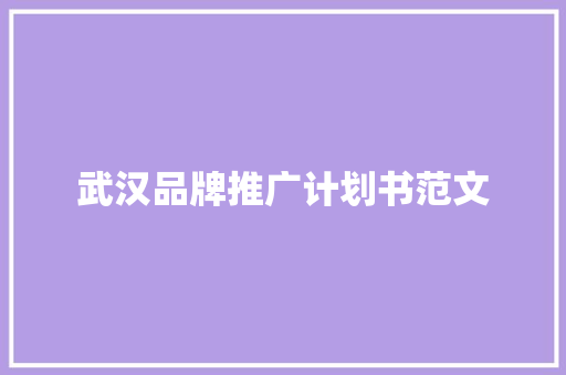 武汉品牌推广计划书范文