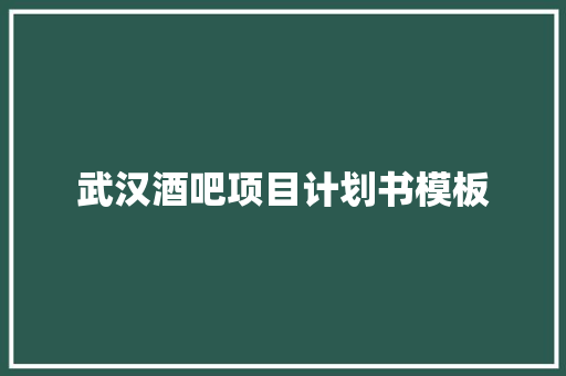 武汉酒吧项目计划书模板