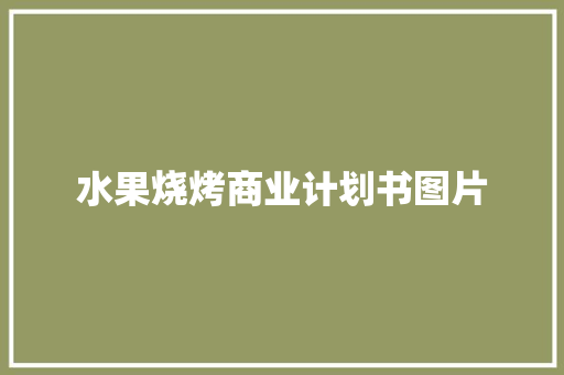 水果烧烤商业计划书图片