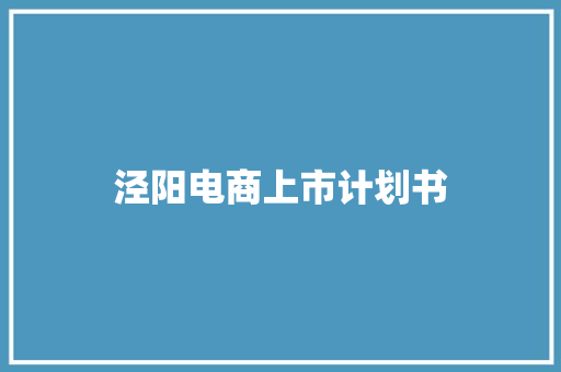 泾阳电商上市计划书