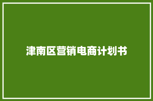 津南区营销电商计划书