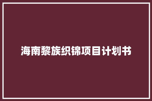 海南黎族织锦项目计划书