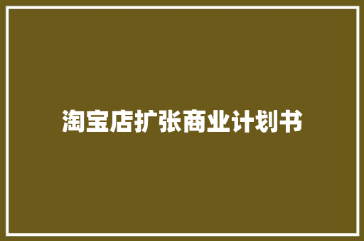 淘宝店扩张商业计划书