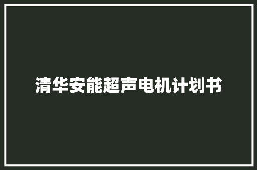 清华安能超声电机计划书