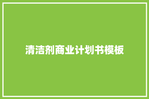 清洁剂商业计划书模板