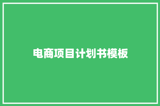 电商项目计划书模板